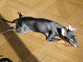 c0123149_15452734.jpg