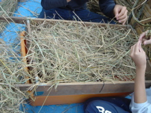 d0112350_0234853.jpg