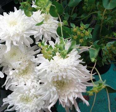 f0041850_13473263.jpg