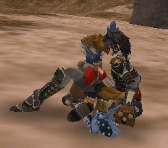 c0142956_1055274.gif