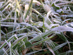 b0086858_16374693.jpg