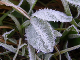b0086858_16394417.jpg