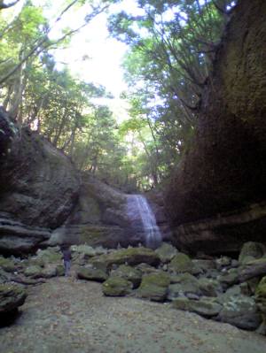 d0113159_14144816.jpg