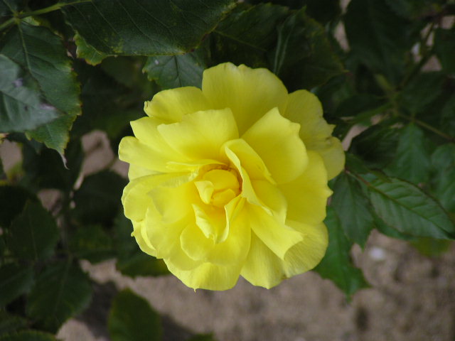 f0074659_18324326.jpg