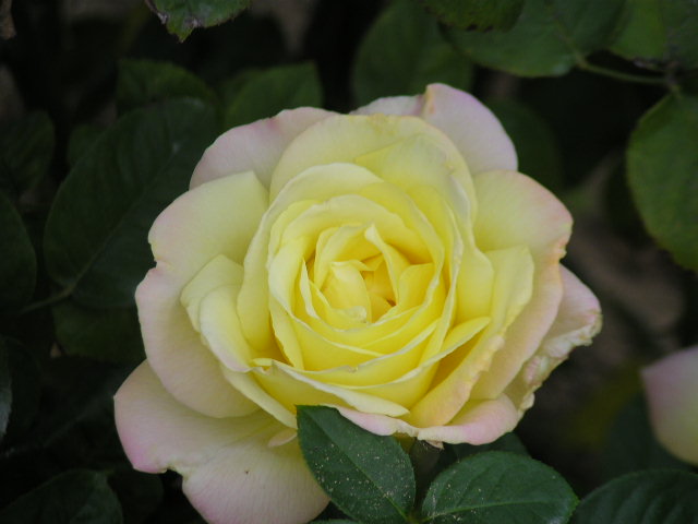 f0074659_18355845.jpg