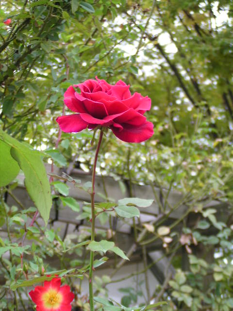 f0074659_2159193.jpg
