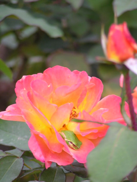 f0074659_22174986.jpg