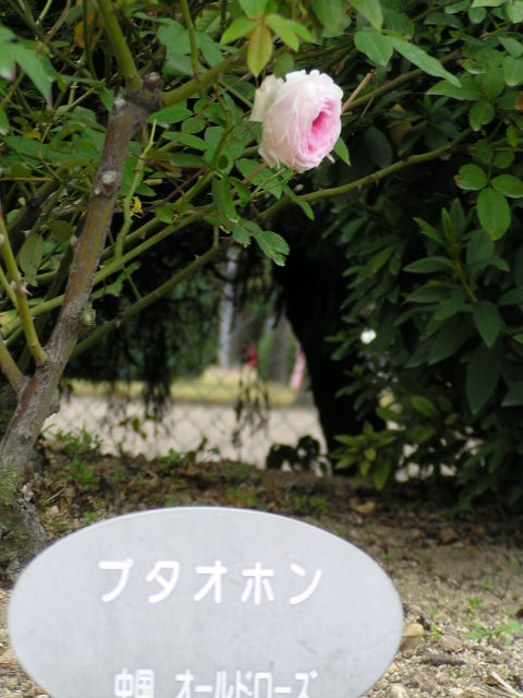 f0074659_22285795.jpg