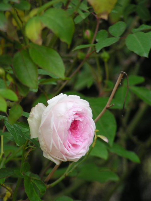 f0074659_22292866.jpg