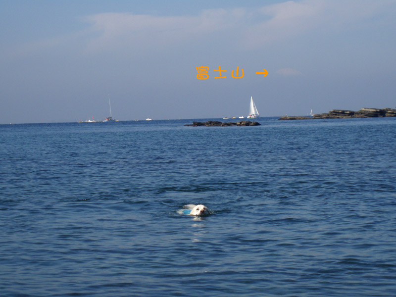 c0110361_15545933.jpg