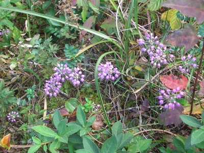 d0105063_11481585.jpg