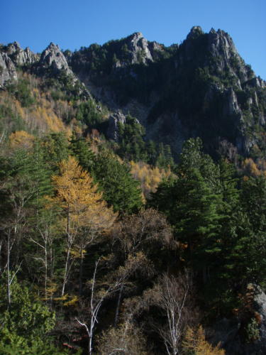 b0050067_23532255.jpg