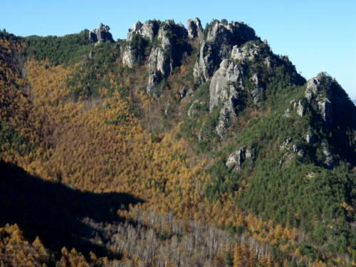 b0050067_23542647.jpg