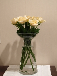 c0102268_2241655.jpg