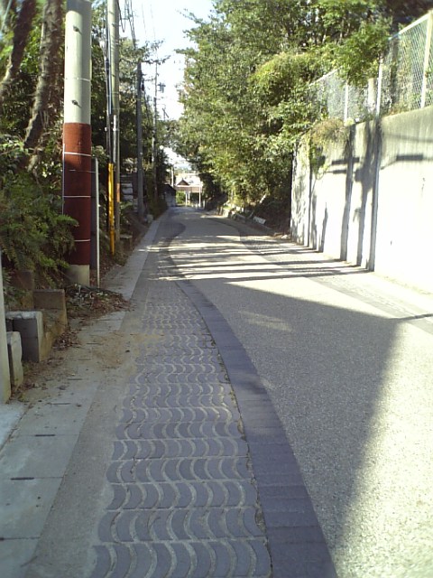 c0124776_6273230.jpg