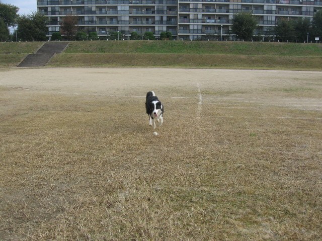 e0117976_13295949.jpg