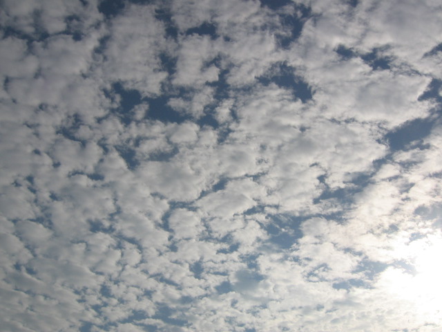 e0117976_1341305.jpg