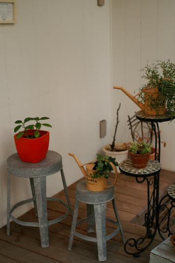 c0077379_0233232.jpg