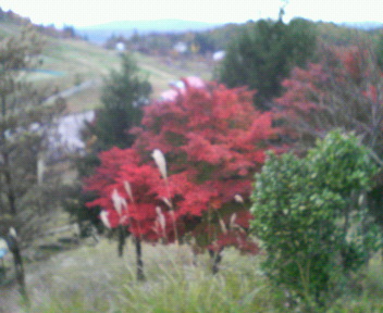f0073581_22365443.jpg
