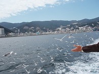 c0105785_14342930.jpg