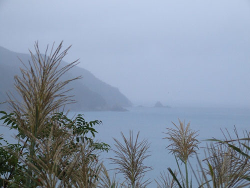 e0028387_2023531.jpg