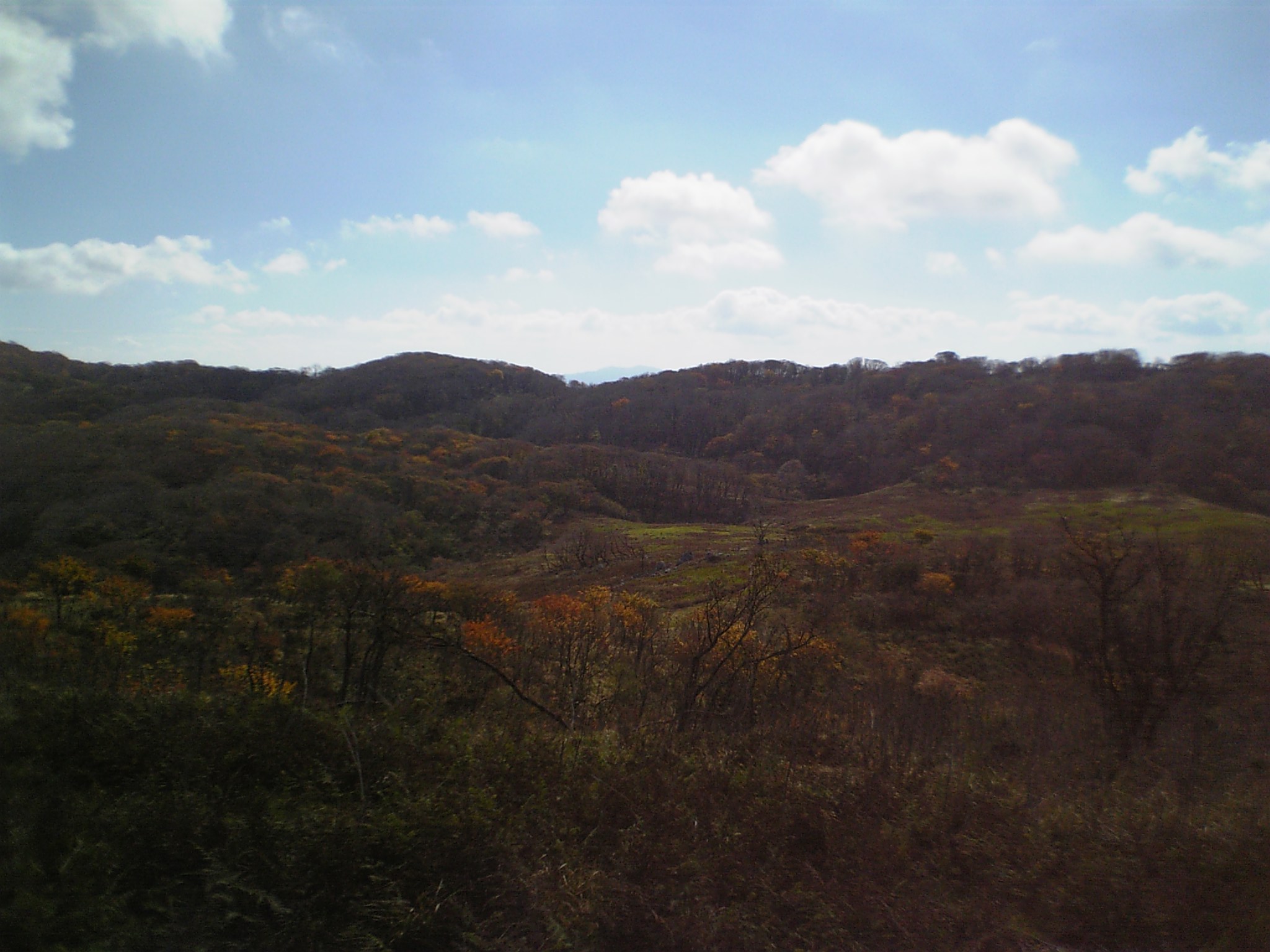 d0054692_1354285.jpg