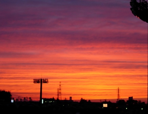 c0000093_1341797.jpg
