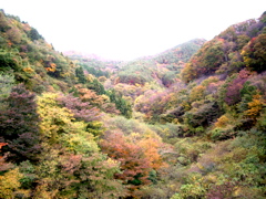 a0061594_0295385.jpg