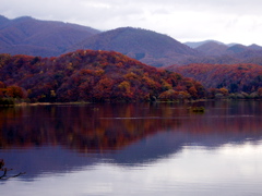 a0061594_0302549.jpg