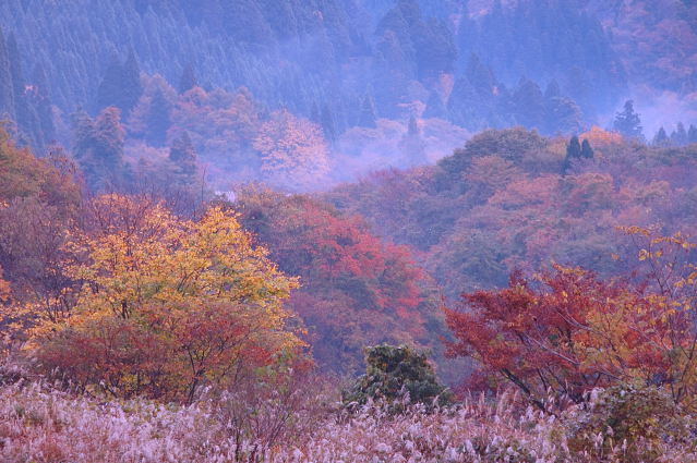 c0134295_23304585.jpg