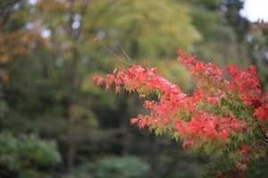 f0103797_10201268.jpg