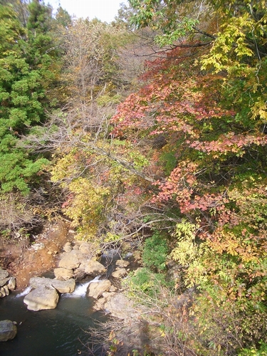 d0069498_17203531.jpg