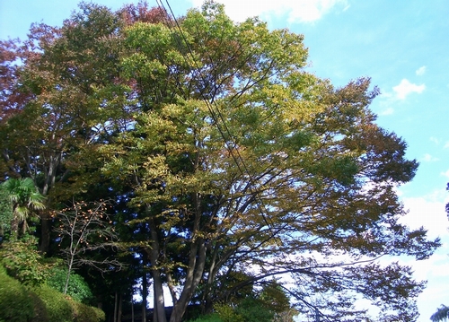 d0069498_1731574.jpg