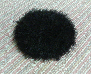 c0007502_1644784.jpg