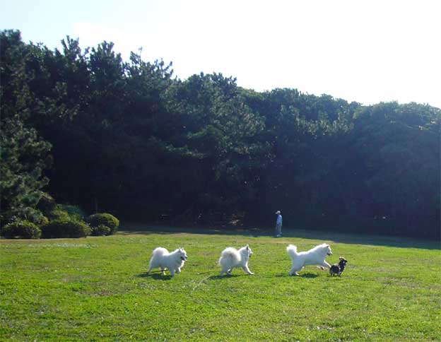 e0018604_9194331.jpg