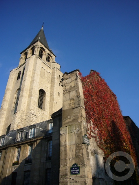 a0008105_8183590.jpg