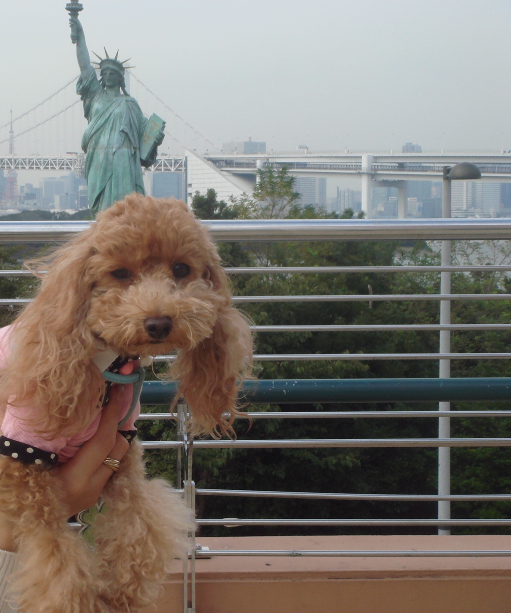 c0041207_11154590.jpg