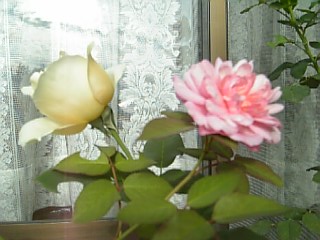 e0098908_21291593.jpg