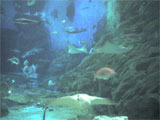 b0019909_16313655.jpg