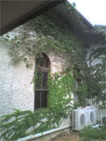 b0019909_1658837.jpg