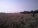 b0019909_2202611.jpg