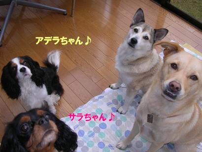 f0057509_110212.jpg