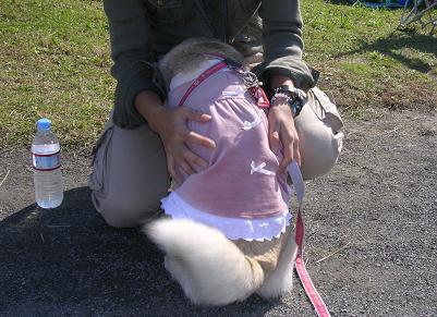 f0057509_14124934.jpg