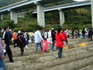 b0076710_11142114.jpg