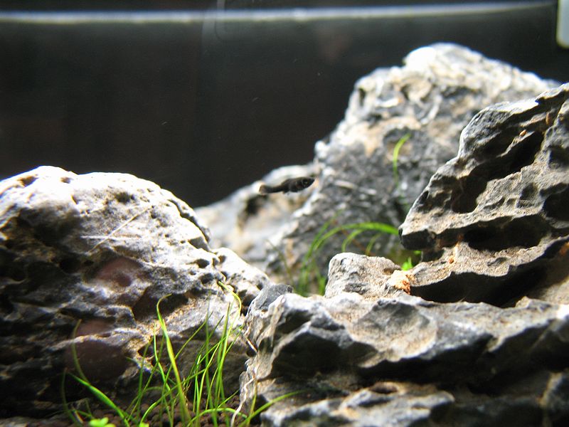c0119618_2032236.jpg