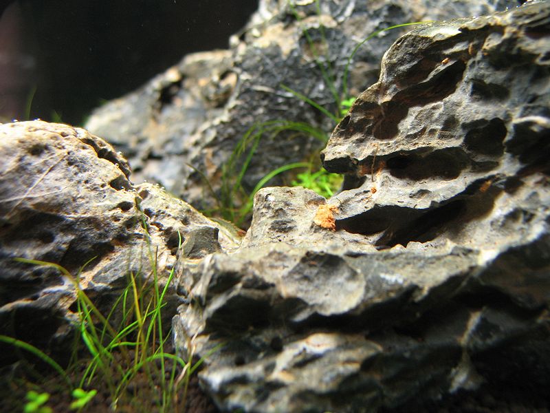 c0119618_2033318.jpg