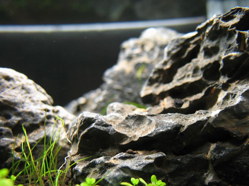 c0119618_203433.jpg