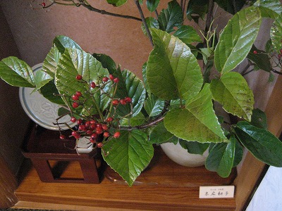 f0139520_15333233.jpg