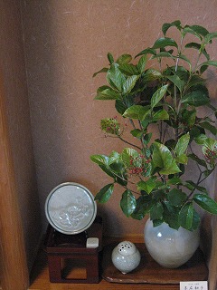 f0139520_15342196.jpg