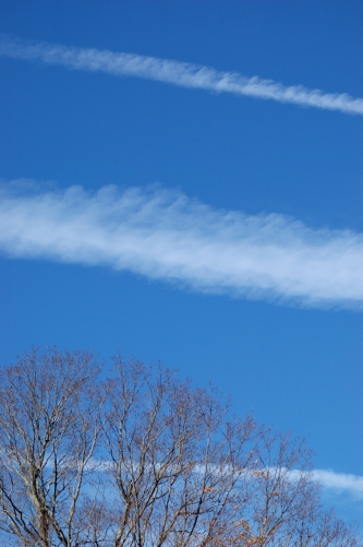 f0115921_605968.jpg